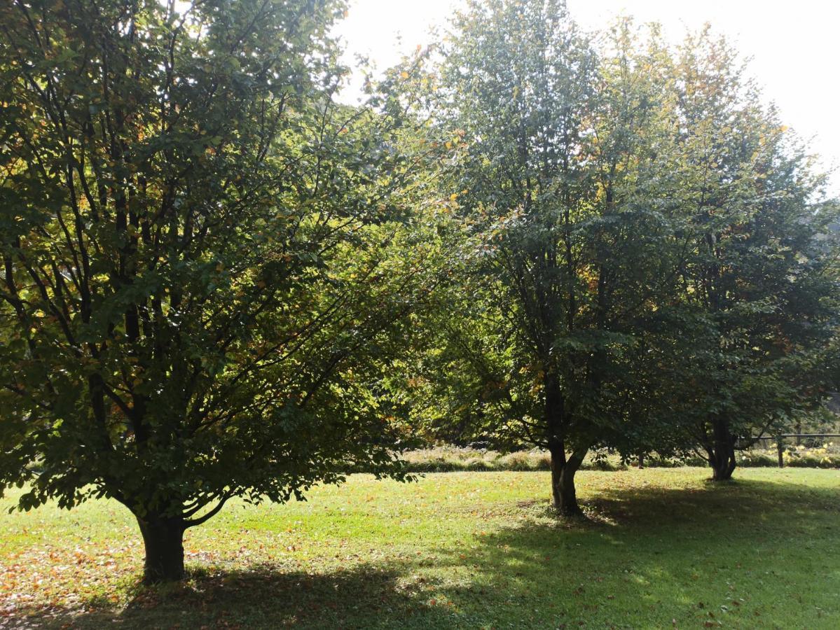 Il Bosco Di Campo Marzano Sunlight Apartment Borzonasca Exterior photo