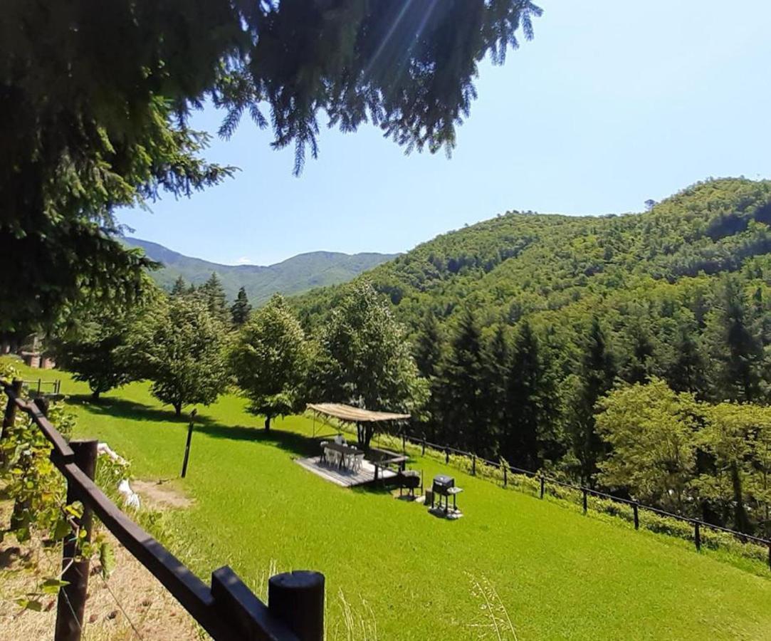 Il Bosco Di Campo Marzano Sunlight Apartment Borzonasca Exterior photo