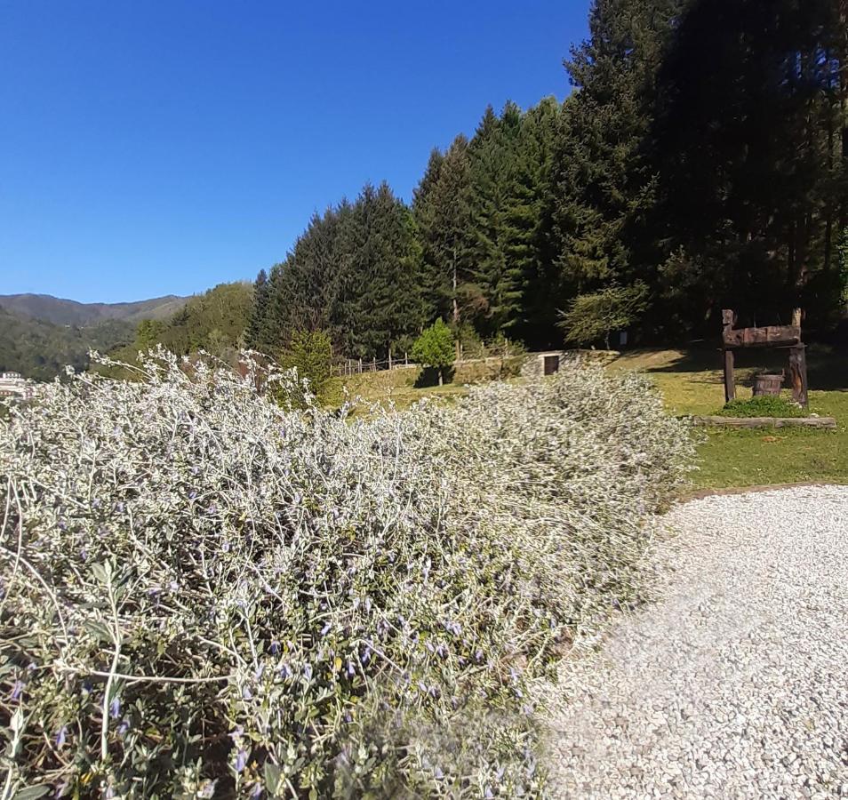 Il Bosco Di Campo Marzano Sunlight Apartment Borzonasca Exterior photo